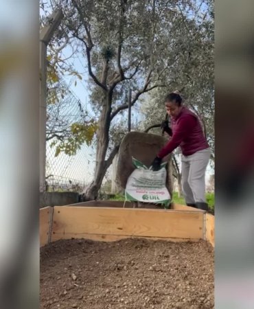 Kursla başladı, üretici oldu: Emekli öğretmen bahçesinde salep yetiştiriyor