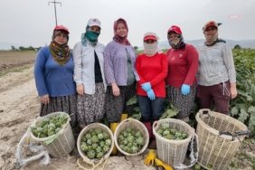 5d6bccc6d00e56082f0e2a90377fb681