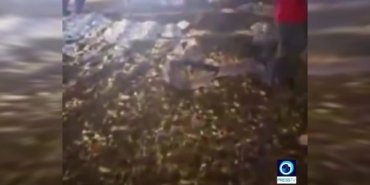 c6598d1b46fc9cad07b30e339914d275